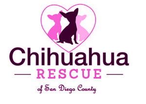 chihuahua-rescue